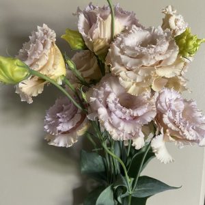 Lisianthus Chateau Blue