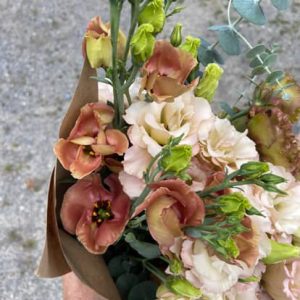 Lisianthus Pucchino choco 1 – Image 3