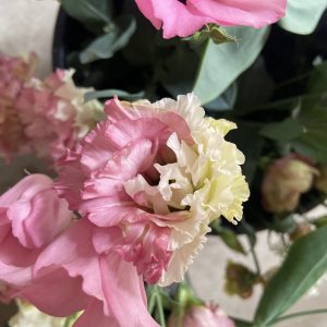 Lisianthus Celeb 2 Madonna – Image 5