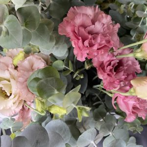 Lisianthus Celeb 2 Madonna – Image 4