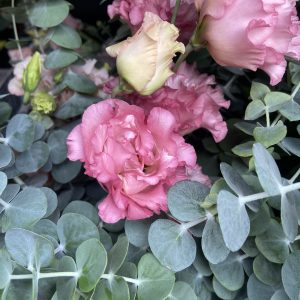 Lisianthus Celeb 2 Madonna – Image 3
