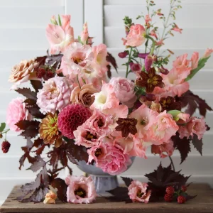Hibiscus « Mahogany Splendour » – Image 2