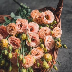 Lisianthus Sabrina 1 Orange